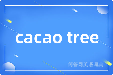 cacao tree