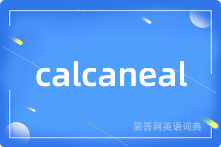 calcaneal是什么意思,calcaneal的中文翻译 calcaneal