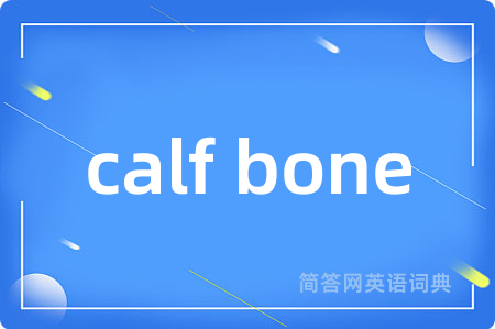 calf bone