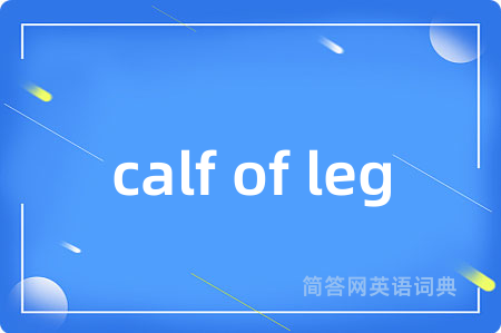 calf of leg