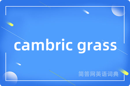 cambric grass
