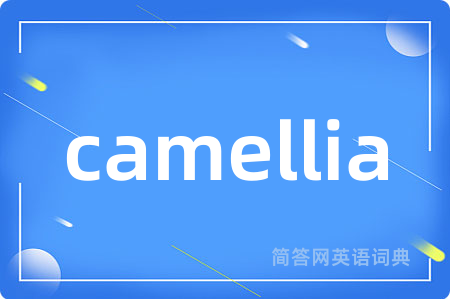 camellia