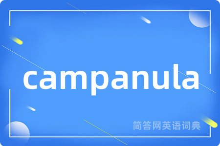 campanula