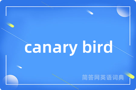 canary bird