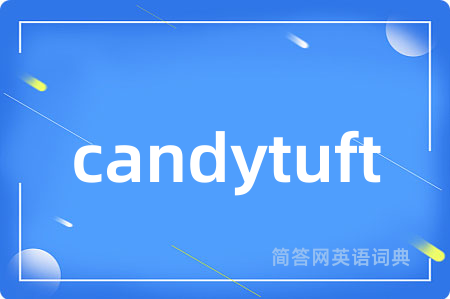candytuft
