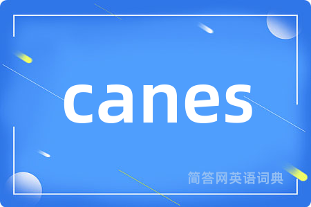 canes是什么意思,canes的中文翻译 canes