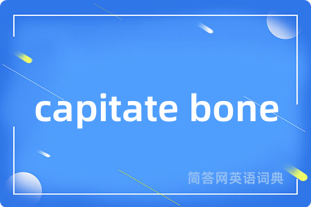 capitate bone
