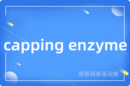 capping enzyme