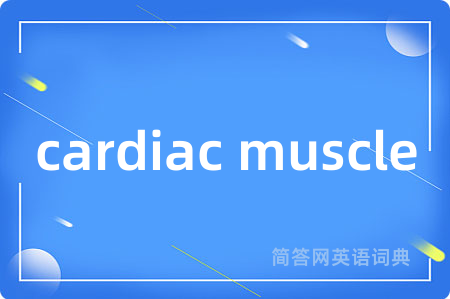 cardiac muscle是什么意思,cardiac muscle的中文翻译 cardiac muscle