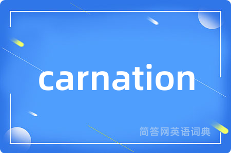 carnation