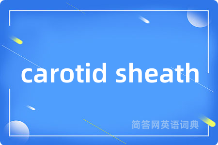 carotid sheath是什么意思,carotid sheath的中文翻译 carotid sheath