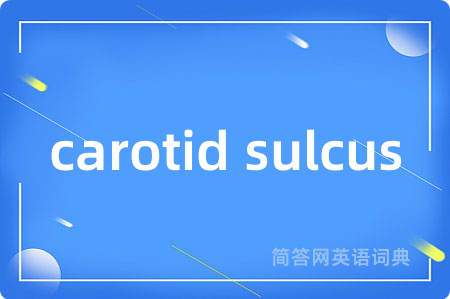 carotid sulcus