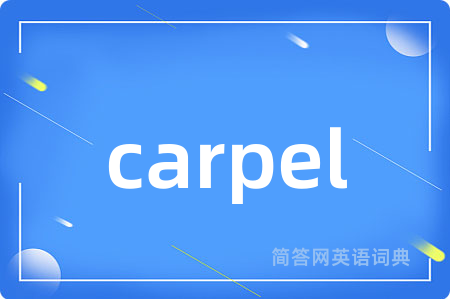 carpel是什么意思,carpel的中文翻译 carpel