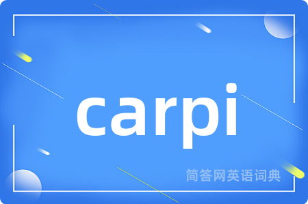 carpi是什么意思,carpi的中文翻译 carpi