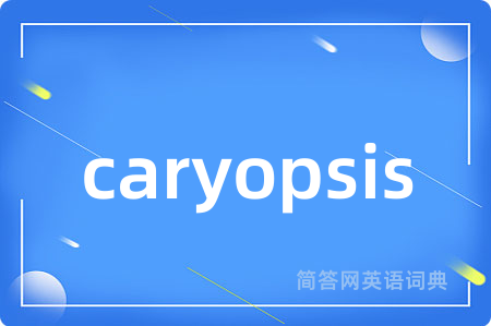caryopsis