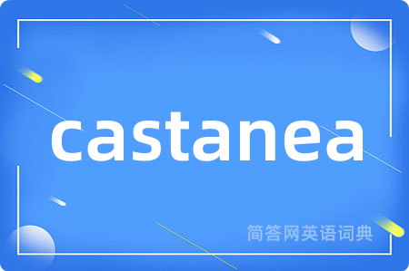 castanea