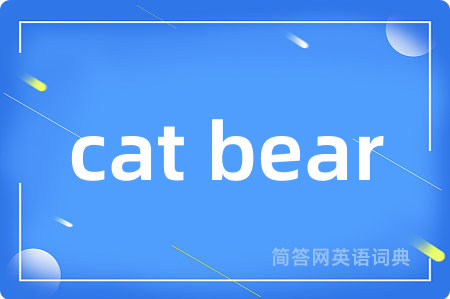 cat bear