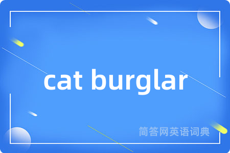 cat burglar