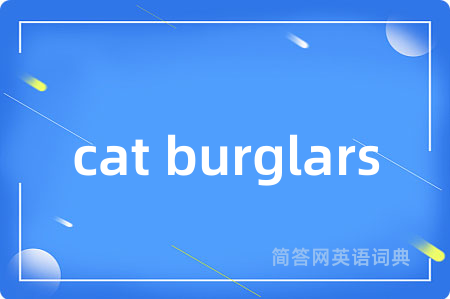 cat burglars