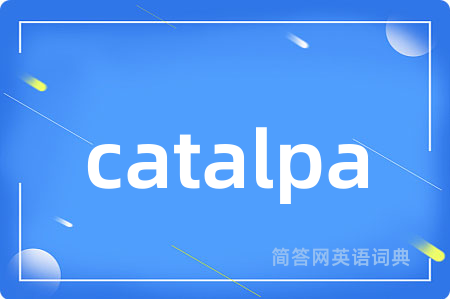 catalpa