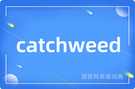catchweed