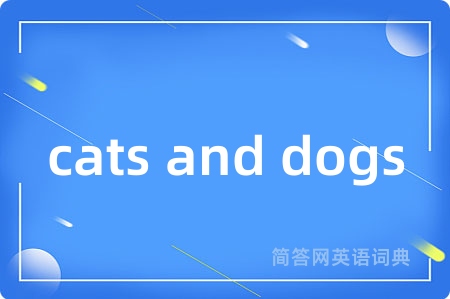 cats and dogs