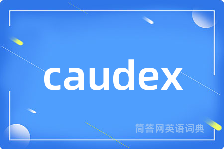 caudex
