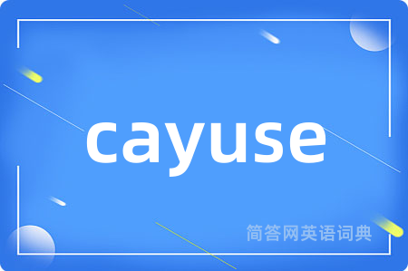 cayuse