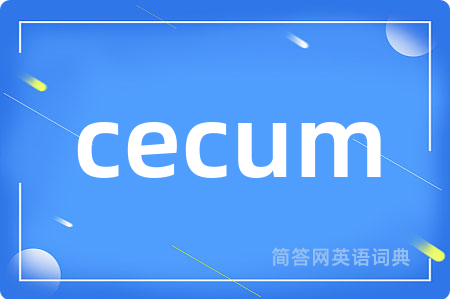 cecum