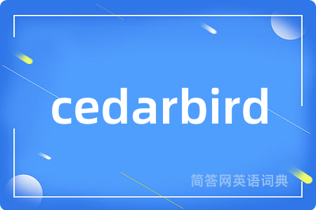 cedarbird