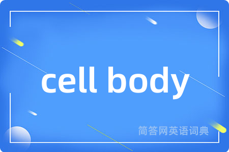 cell body