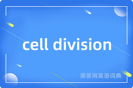 cell division