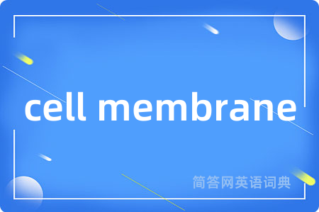 cell membrane是什么意思,cell membrane的中文翻译 cell membrane