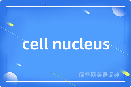 cell nucleus是什么意思,cell nucleus的中文翻译 cell nucleus