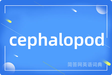 cephalopod