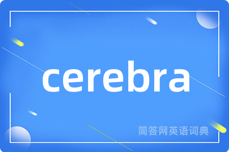 cerebra是什么意思,cerebra的中文翻译 cerebra