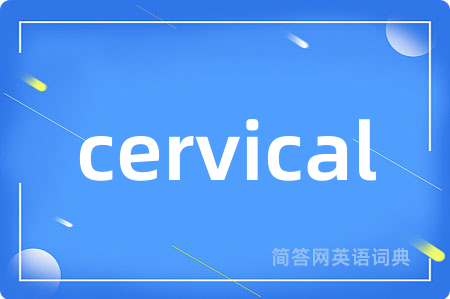 cervical是什么意思,cervical的中文翻译 cervical