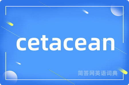 cetacean