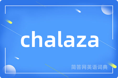 chalaza