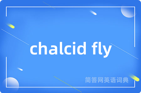 chalcid fly