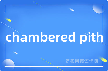chambered pith