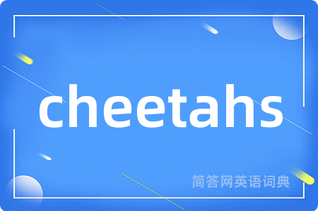 cheetahs
