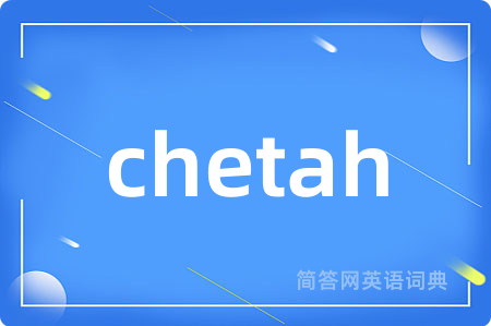 chetah
