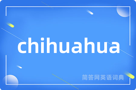 chihuahua
