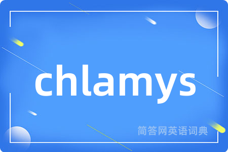 chlamys
