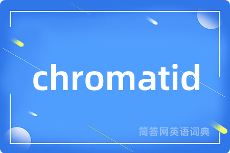 chromatid