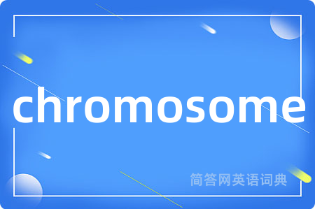 chromosome