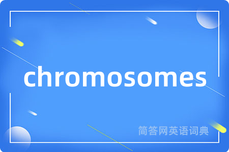 chromosomes