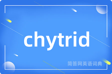 chytrid