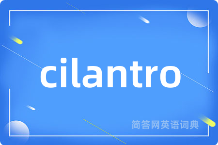 cilantro